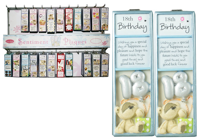 Thin Magnet Plaque