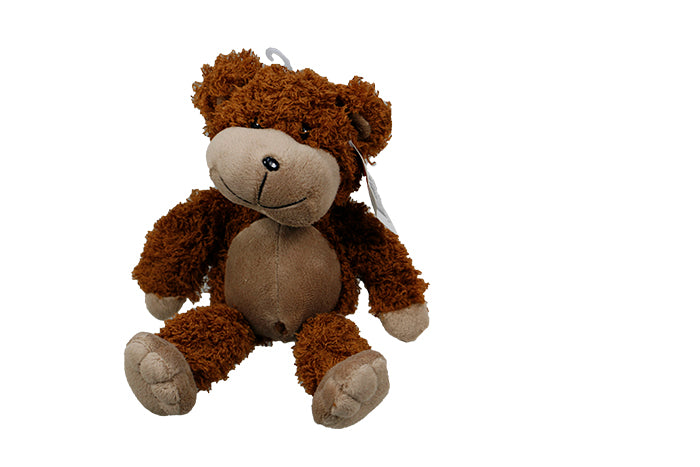 plain-bear-42623