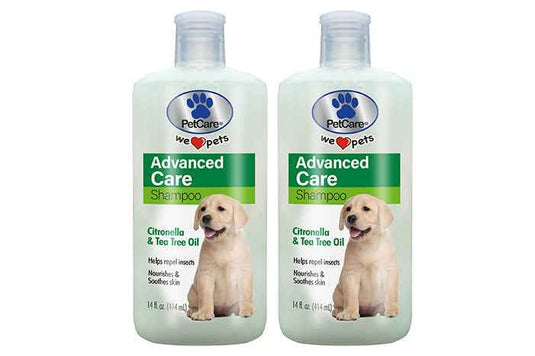 Petcare Advanced Care Shampoo