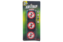 ant-glue-traps-59887