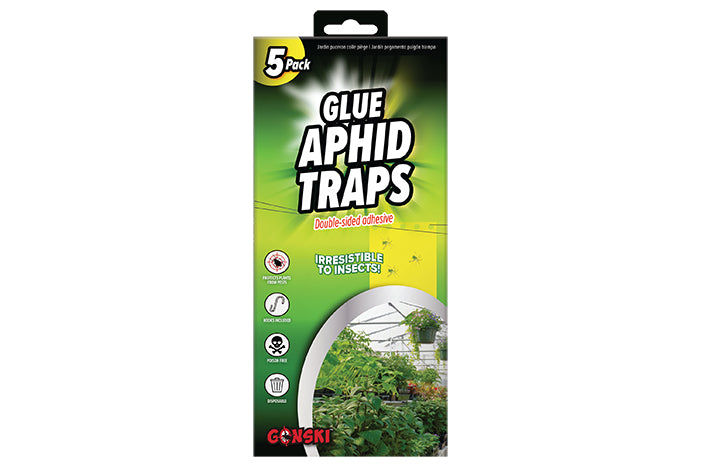 aphids-glue-traps-5pc-pack-59888
