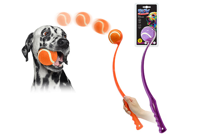 pet-ball-chucker-61057