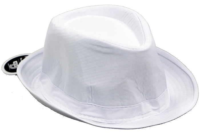dress-up-fedora-hat-white-61462