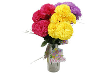 flower-carnation-bunch-69799