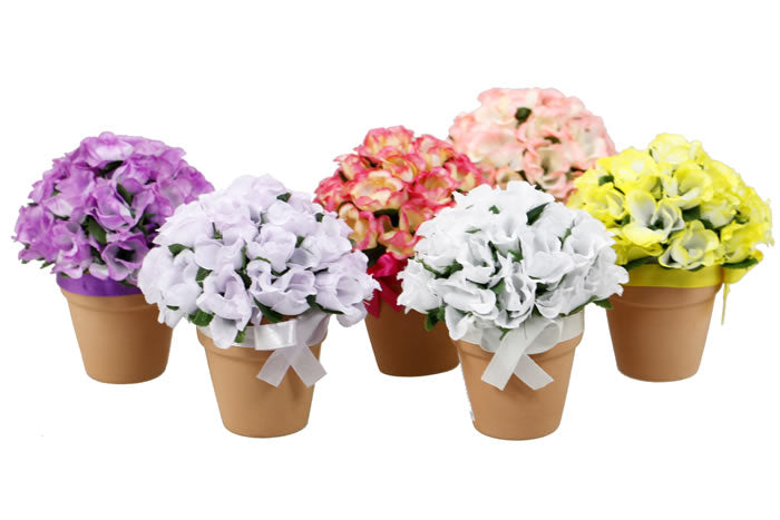 flower-roses-in-terracotta-pot-69801