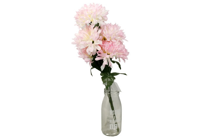chrysanthemum-pink-69814