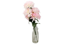 chrysanthemum-pink-69814