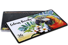 colour-pencils-deluxe-36pc-box-70589