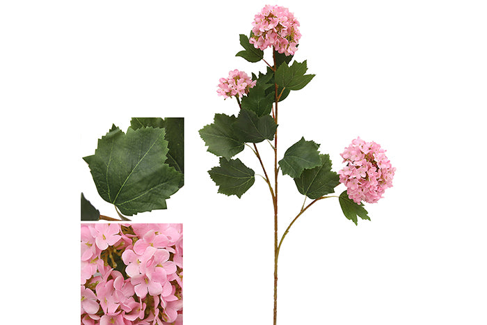 pink-hydrangea-70890