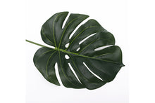 green-palm-leaf-70893