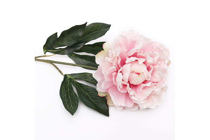 pink-peony-w-real-touch-stem-70895