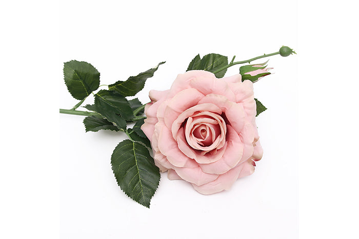 pink-rose-stem-70896