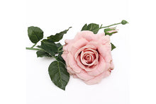 pink-rose-stem-70896