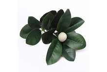 magnolia-stem-70903