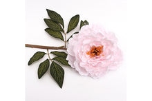 pale-pink-peony-w-stem-70905