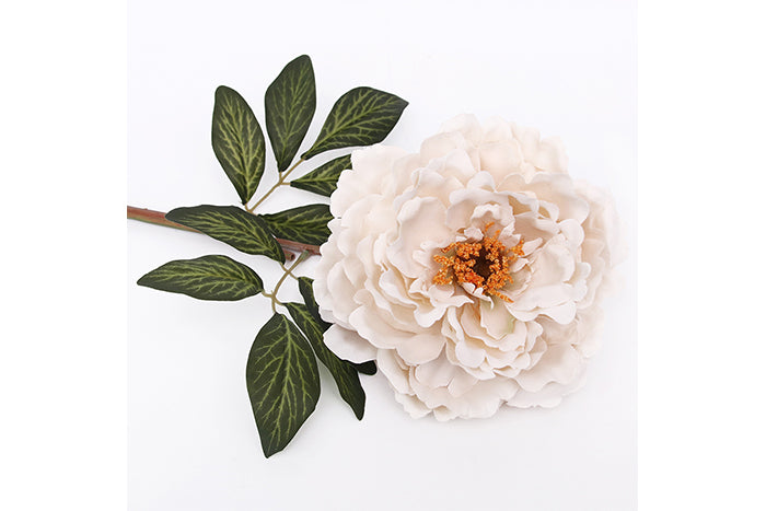 ivory-peony-w-stem-70906