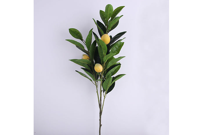 lemon-stem-70910