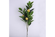 lemon-stem-70910