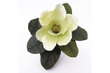 green-magnolia-70912