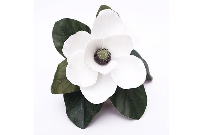 white-magnolia-70913