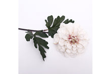 ivory-dahlia-w-65cm-stem-70915