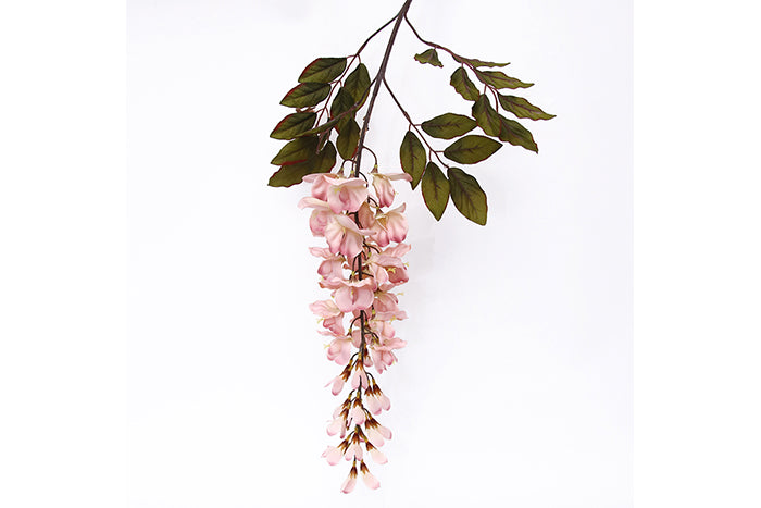 pink-wisteria-70918