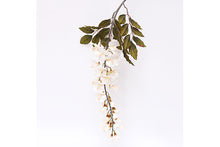 white-wisteria-70919