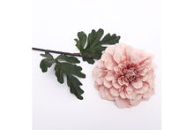 dusty-pink-dahlia-w-stem-70921