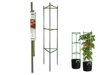 tomato-cage-71666