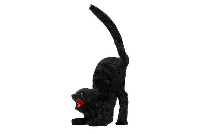 black-cat-75482