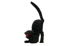 black-cat-75482