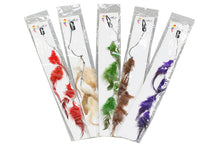 feather-76476