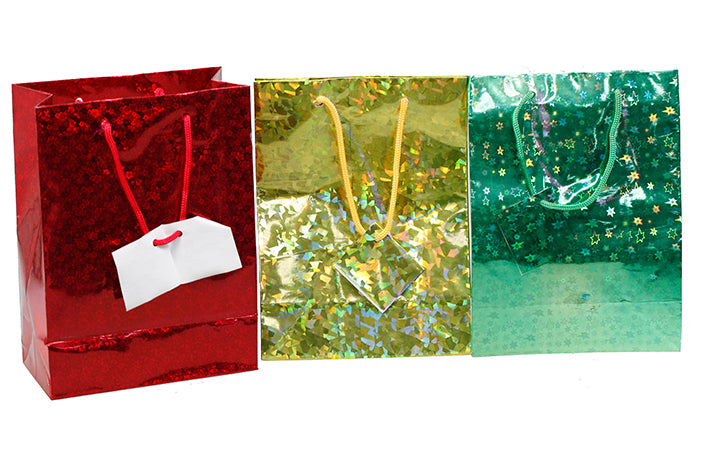gift-bag-hologram-small-76492