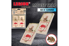 mouse-trap-60x120mm-2pcs-pk-76732