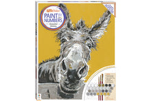 Paint by Numbers Canvas: Delightful Donkey