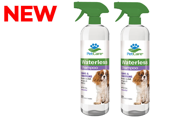 petcare-waterless-pet-shampoo-lavender-82046