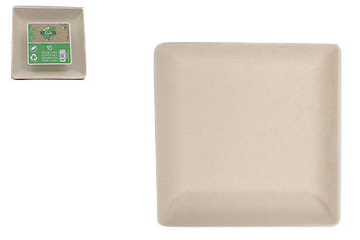 sugar-cane-square-plates-82482