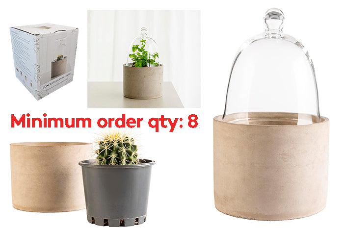 concrete-plant-cloche-84295