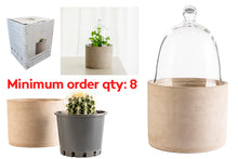 concrete-plant-cloche-84295
