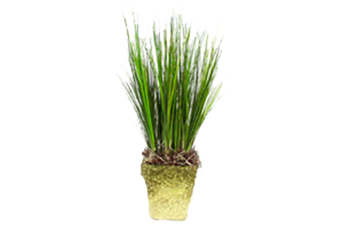 artificial-plants-84644