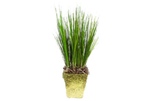 artificial-plants-84644