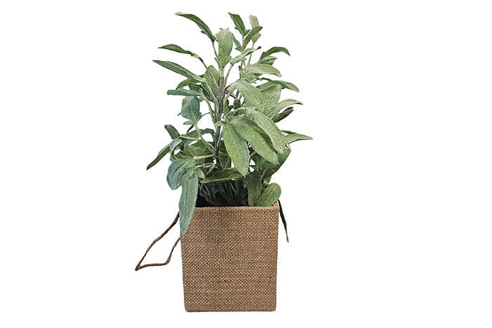 sage-bag-pot-84840