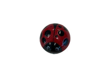 Ladybug Kitchen Timer